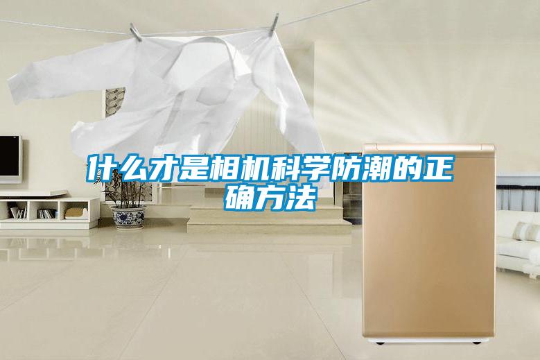 什么才是相機科學防潮的正確方法