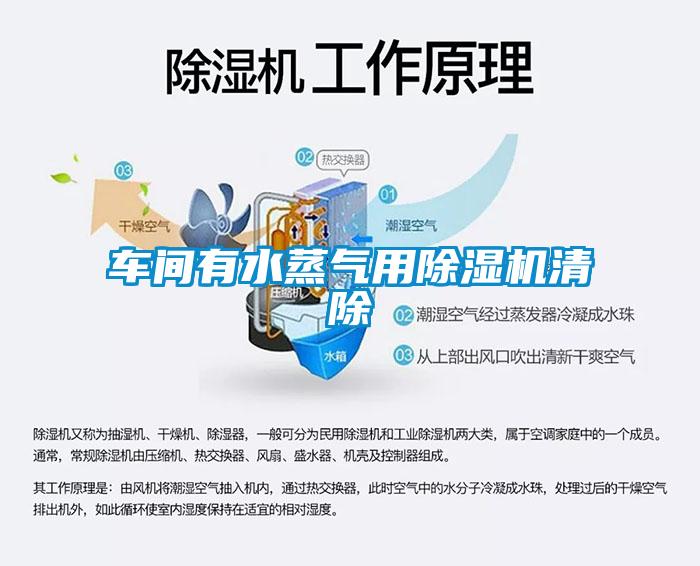 車間有水蒸氣用除濕機(jī)清除