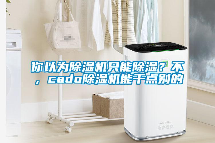 你以為除濕機(jī)只能除濕？不，cado除濕機(jī)能干點(diǎn)別的