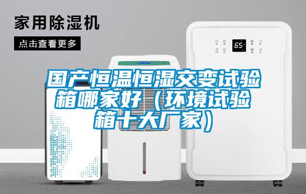 國產恒溫恒濕交變試驗箱哪家好（環境試驗箱十大廠家）