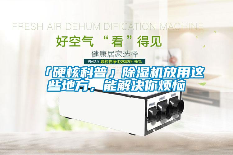 「硬核科普」除濕機放用這些地方，能解決你煩惱