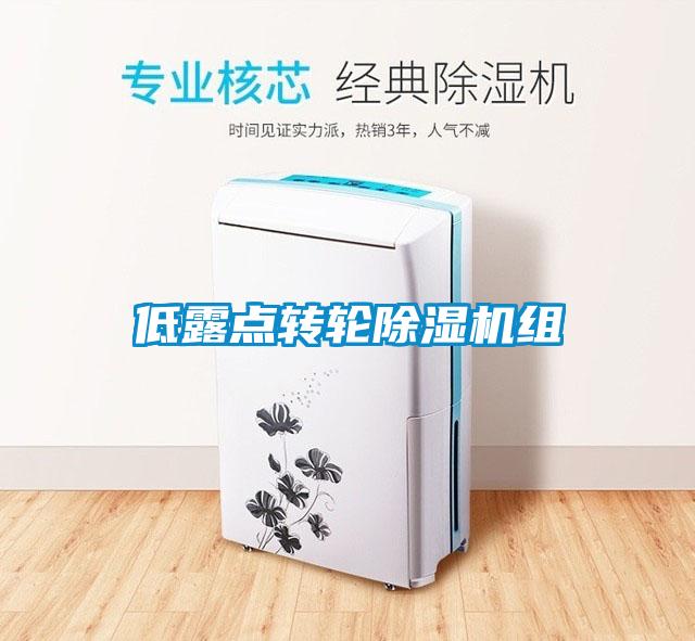 低露點轉輪除濕機組