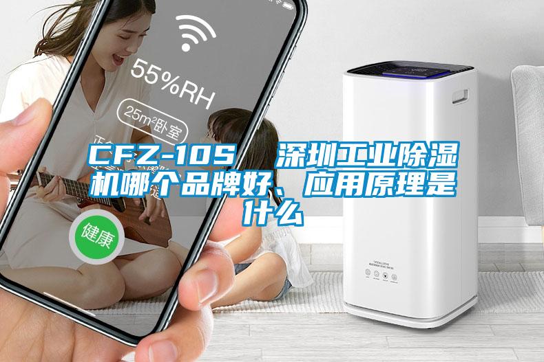 CFZ-10S  深圳工業除濕機哪個品牌好、應用原理是什么