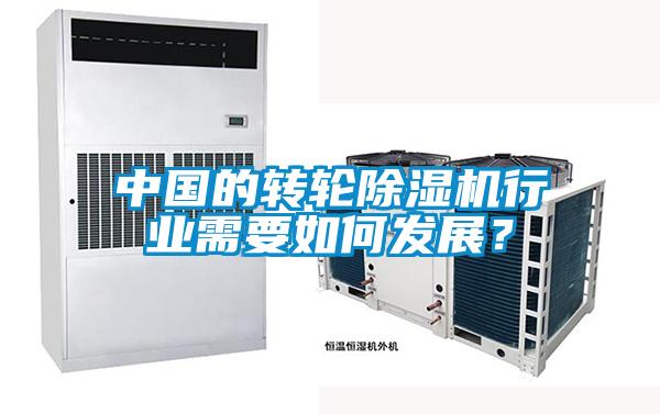 中國的轉(zhuǎn)輪除濕機行業(yè)需要如何發(fā)展？