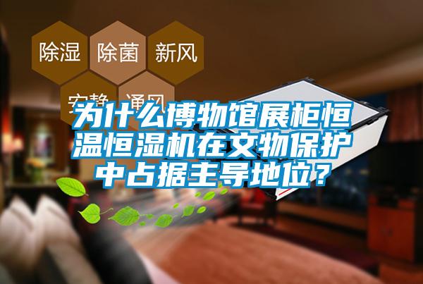 為什么博物館展柜恒溫恒濕機在文物保護中占據主導地位？