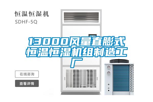 13000風(fēng)量直膨式恒溫恒濕機(jī)組制造工廠(chǎng)