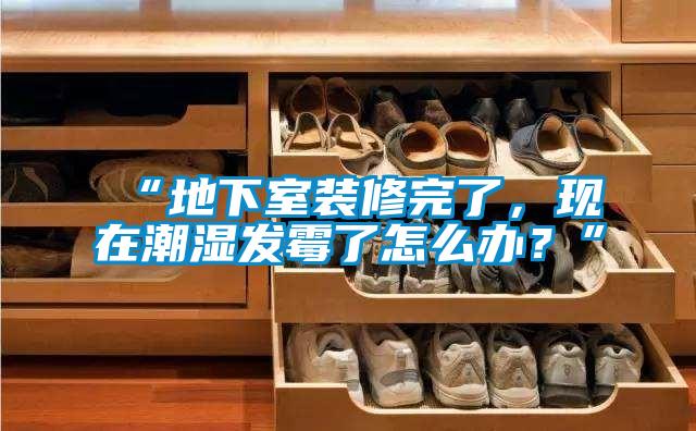 “地下室裝修完了，現在潮濕發霉了怎么辦？”