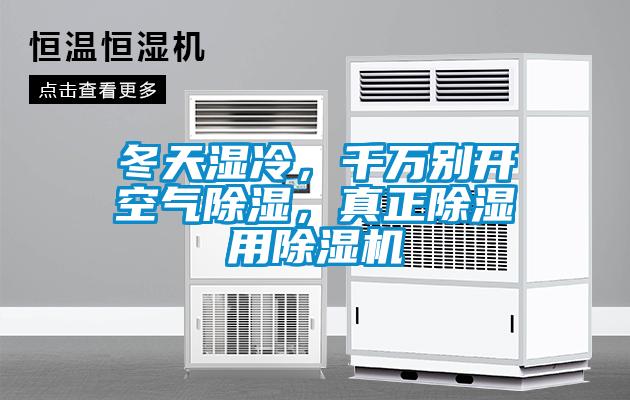 冬天濕冷，千萬別開空氣除濕，真正除濕用除濕機