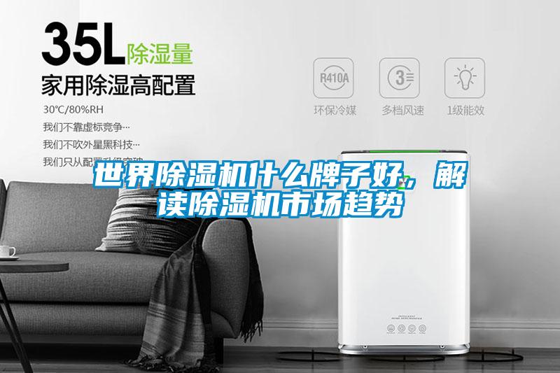 世界除濕機(jī)什么牌子好，解讀除濕機(jī)市場趨勢