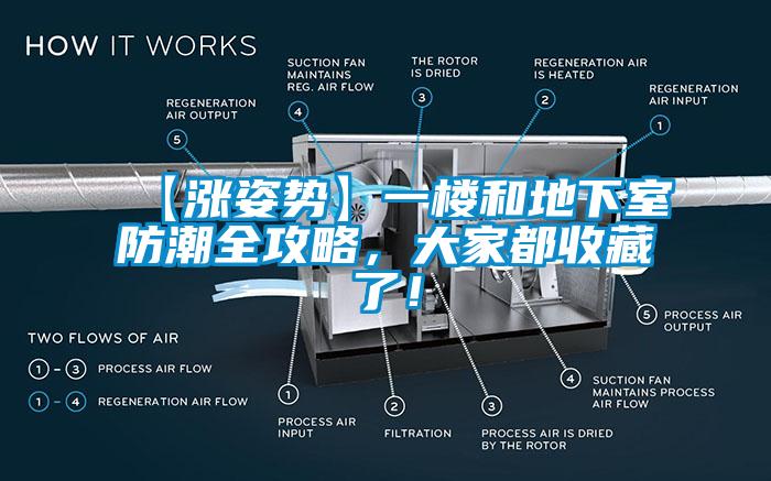 【漲姿勢】一樓和地下室防潮全攻略，大家都收藏了！