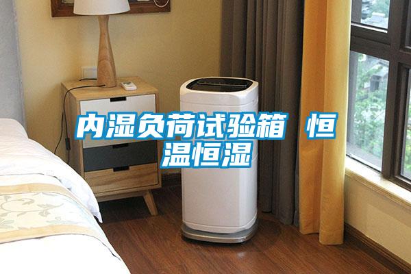 內濕負荷試驗箱 恒溫恒濕