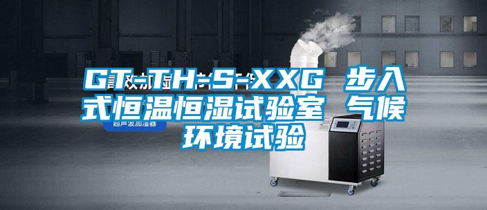 GT-TH-S-XXG 步入式恒溫恒濕試驗室 氣候環境試驗