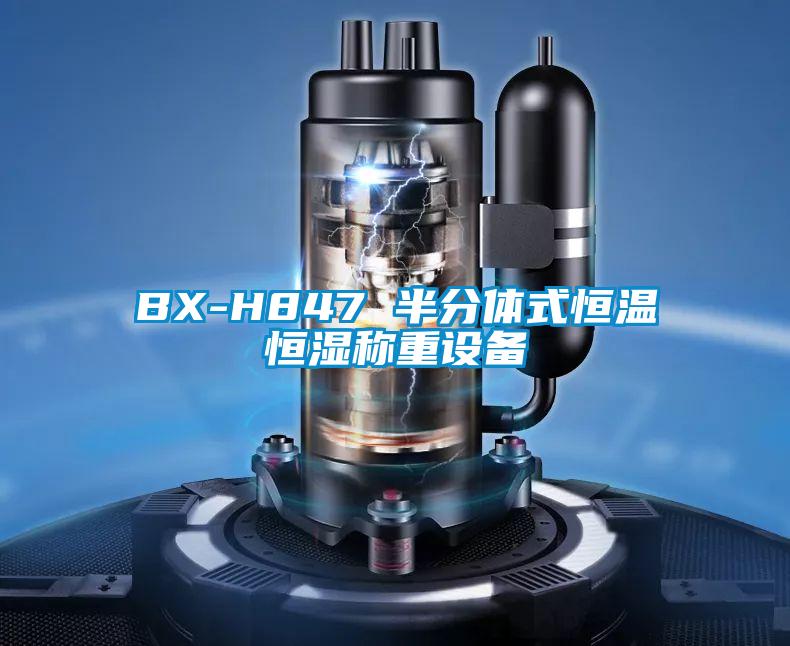 BX-H847 半分體式恒溫恒濕稱重設備
