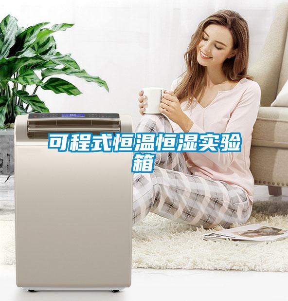 可程式恒溫恒濕實驗箱