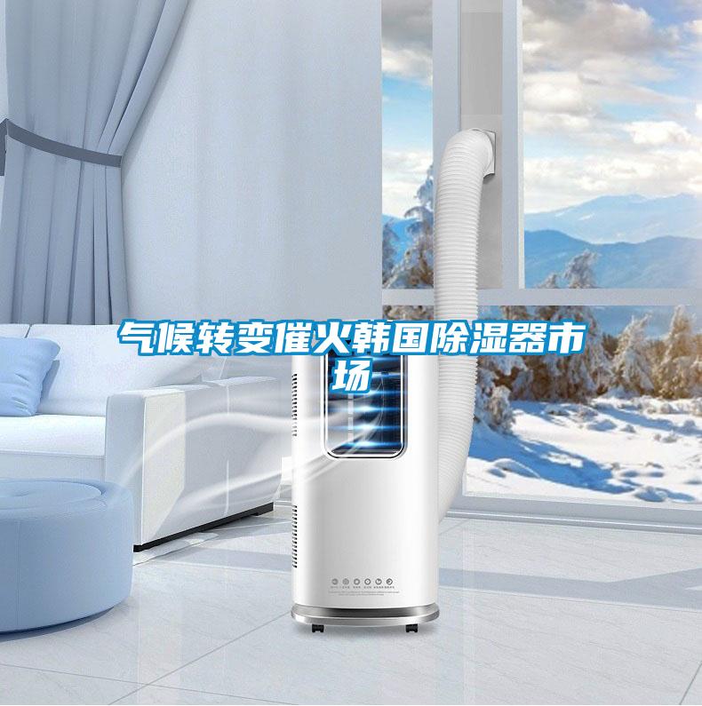 氣候轉變催火韓國除濕器市場