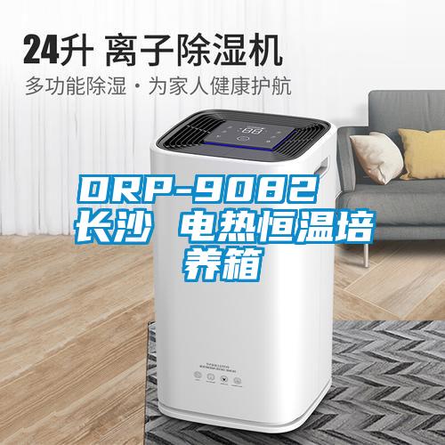 DRP-9082  長沙 電熱恒溫培養箱