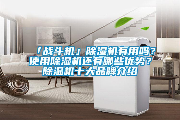 「戰斗機」除濕機有用嗎？使用除濕機還有哪些優勢？除濕機十大品牌介紹