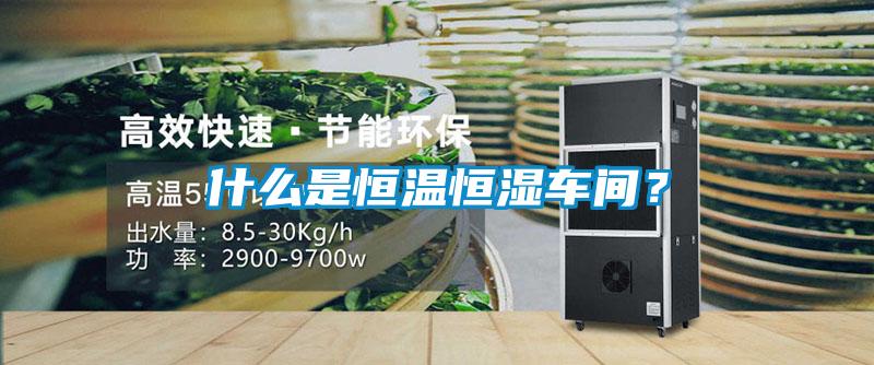 什么是恒溫恒濕車間？