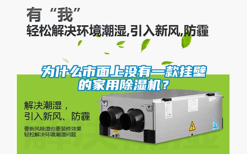 為什么市面上沒有一款掛壁的家用除濕機？