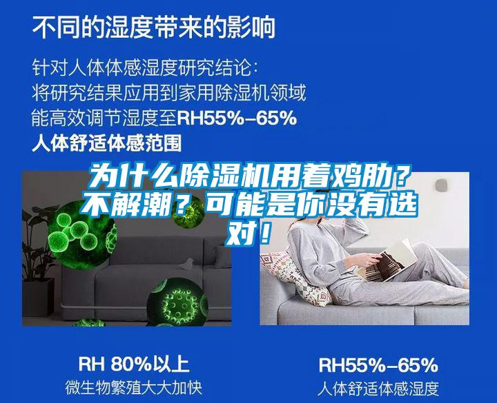 為什么除濕機用著雞肋？不解潮？可能是你沒有選對！