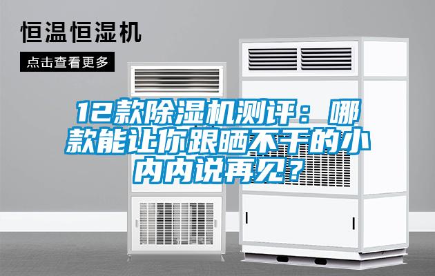 12款除濕機測評：哪款能讓你跟曬不干的小內內說再見？