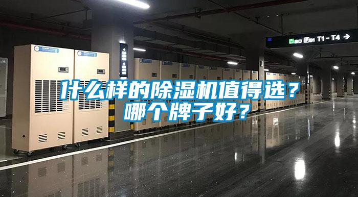 什么樣的除濕機值得選？ 哪個牌子好？
