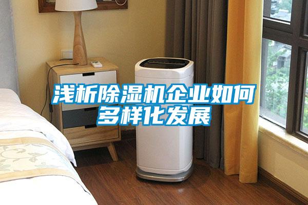 淺析除濕機(jī)企業(yè)如何多樣化發(fā)展