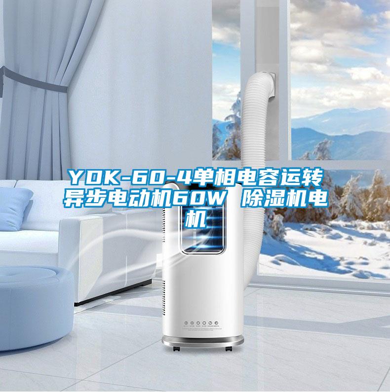 YDK-60-4單相電容運轉異步電動機60W 除濕機電機