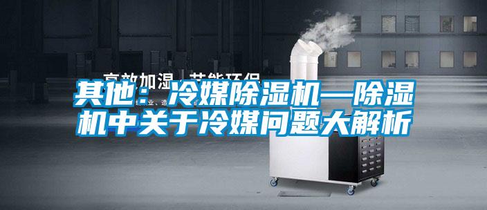 其他：冷媒除濕機—除濕機中關(guān)于冷媒問題大解析