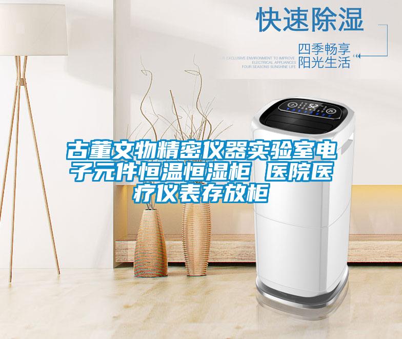 古董文物精密儀器實驗室電子元件恒溫恒濕柜 醫院醫療儀表存放柜