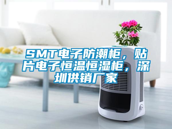 SMT電子防潮柜，貼片電子恒溫恒濕柜，深圳供銷廠家