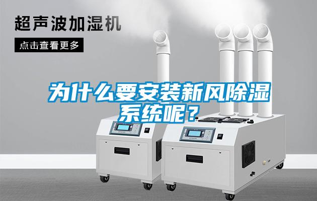 為什么要安裝新風除濕系統呢？
