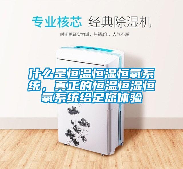 什么是恒溫恒濕恒氧系統，真正的恒溫恒濕恒氧系統給足您體驗