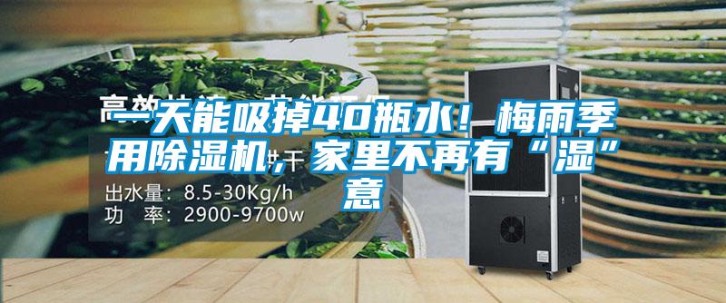 一天能吸掉40瓶水！梅雨季用除濕機，家里不再有“濕”意