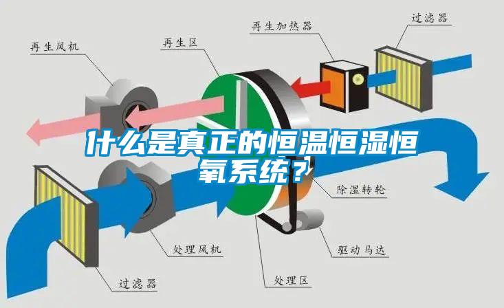 什么是真正的恒溫恒濕恒氧系統？