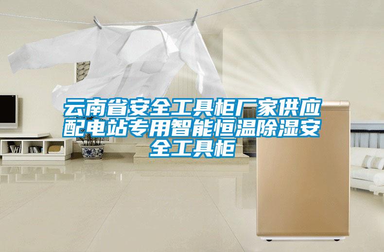 云南省安全工具柜廠家供應配電站專用智能恒溫除濕安全工具柜