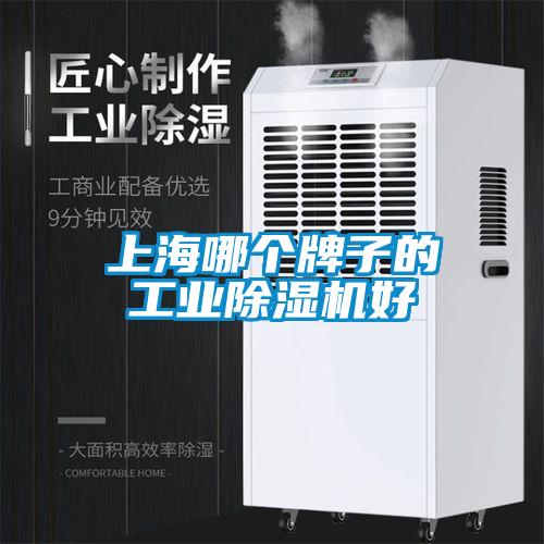 上海哪個牌子的工業除濕機好