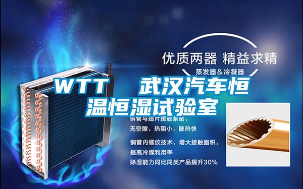 WTT  武漢汽車恒溫恒濕試驗室