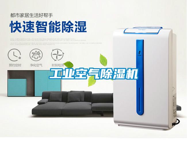 工業(yè)空氣除濕機