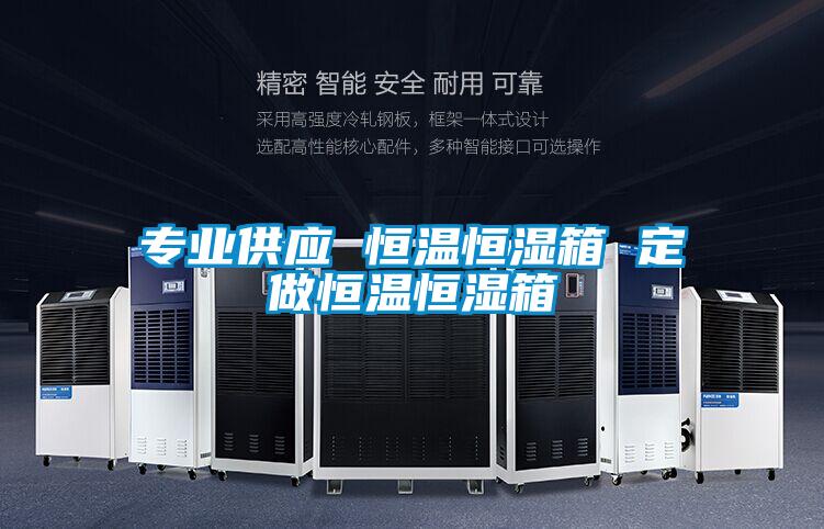專業供應 恒溫恒濕箱 定做恒溫恒濕箱