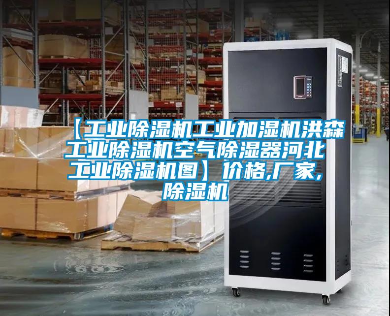 【工業(yè)除濕機(jī)工業(yè)加濕機(jī)洪森工業(yè)除濕機(jī)空氣除濕器河北工業(yè)除濕機(jī)圖】價格,廠家,除濕機(jī)