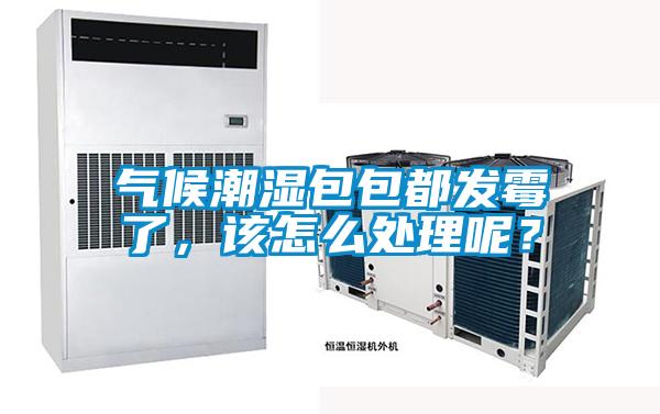 氣候潮濕包包都發(fā)霉了，該怎么處理呢？
