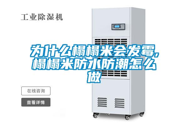 為什么榻榻米會發霉,榻榻米防水防潮怎么做