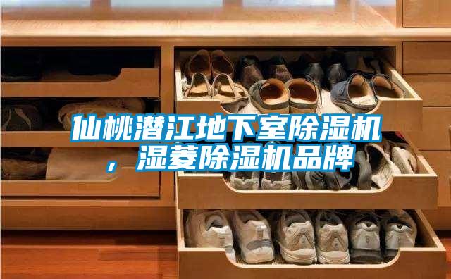 仙桃潛江地下室除濕機，濕菱除濕機品牌