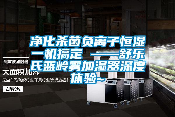 凈化殺菌負離子恒濕一機搞定 ——舒樂氏藍嶺霧加濕器深度體驗~