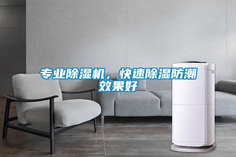 專業除濕機，快速除濕防潮效果好