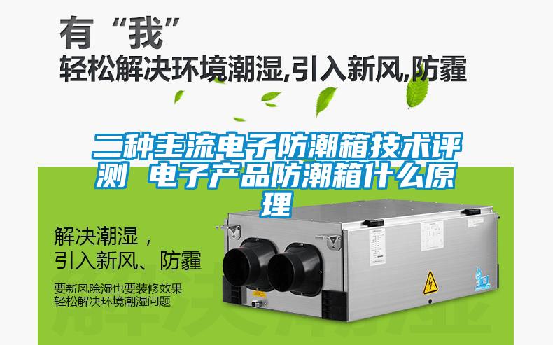 二種主流電子防潮箱技術評測 電子產品防潮箱什么原理