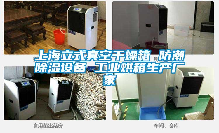 上海立式真空干燥箱 防潮除濕設備 工業(yè)烘箱生產(chǎn)廠家