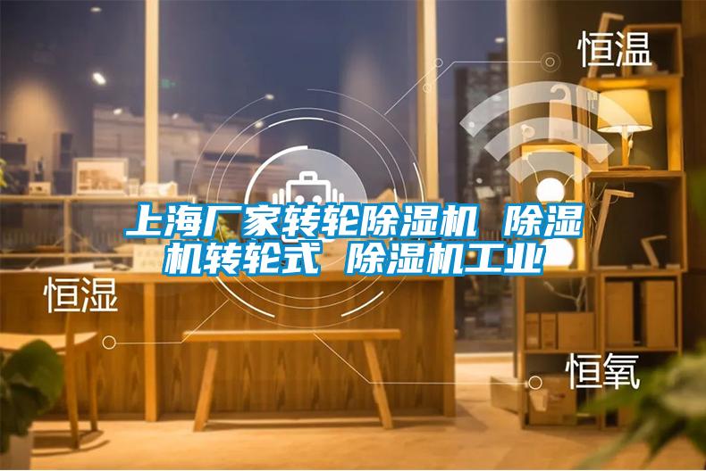 上海廠家轉輪除濕機 除濕機轉輪式 除濕機工業