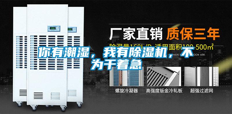 你有潮濕，我有除濕機，不為干著急